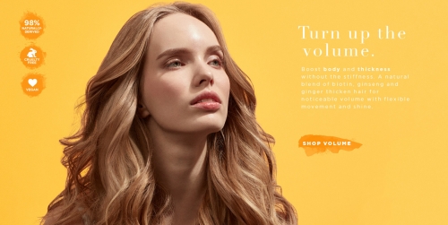 Briogeo Campaign  